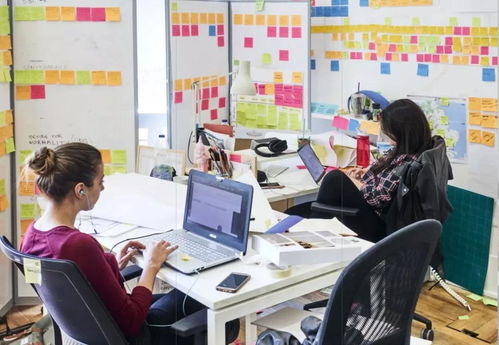 服务设计留学择校指南 探索百花齐放的英欧院校